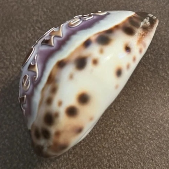 “Key West 2010” engraved sea shell - Picture 12 of 12